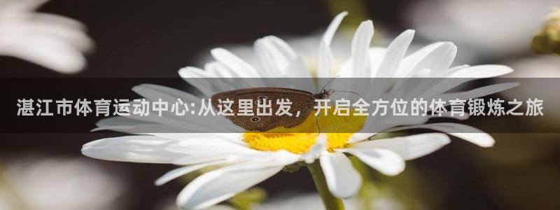 vsport体育官方平台体育：湛江市体育运动中心:从这里出发