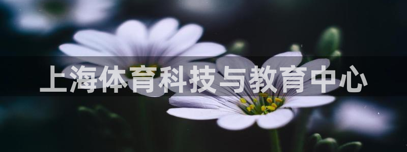 vsport体育官网下载平台APP