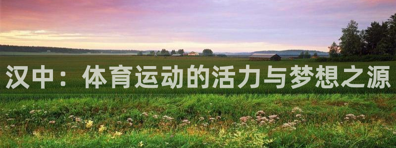 vsport体育官方正版app娱乐代理怎么样：汉中：