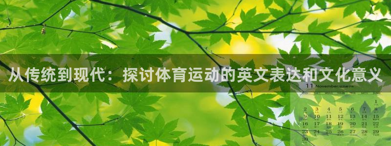 vsport体育官网下载平台：从传统到现代：探讨体育