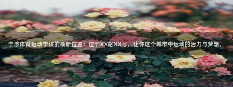 vsport体育官网下载娱乐：宁波体育运动学校的最新位置：位