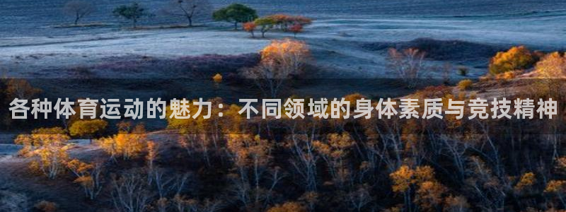 vsport体育官方正版app代理：各种体育运动的魅力：不同