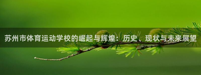 vsport体育官网下载软件