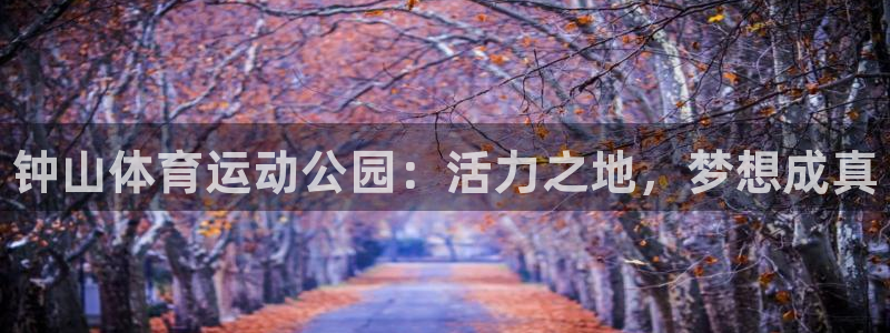 vsport体育官网下载平台是正规平台吗知乎：钟山体