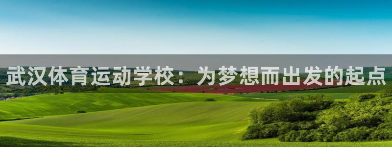 vsport体育官网下载平台APP：武汉体育运动学校：为梦想