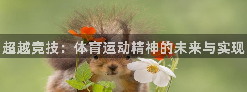 vsport体育官网下载平台注册要钱吗安全吗：超越竞技：体育