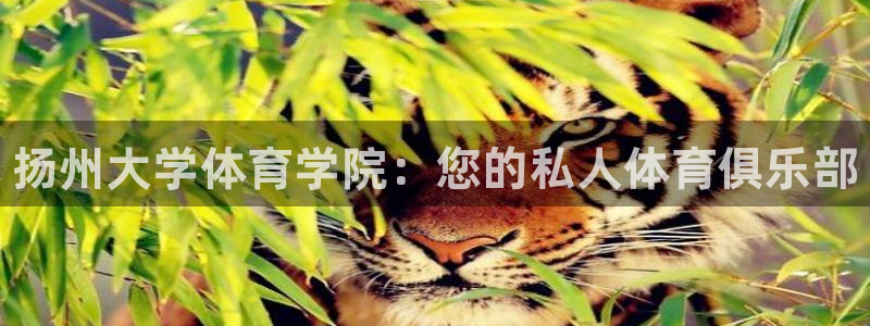 海南vsport体育官网下载：扬州大学体育学院：您的私人体育