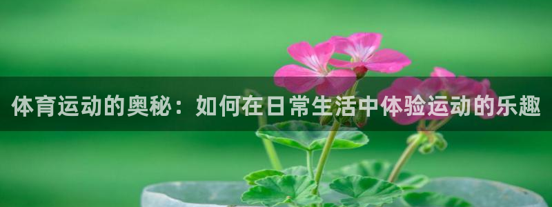 vsport体育官方正版app五金厂：体育运动的奥秘