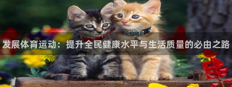 vsport体育官方正版app集团logo：发展体育