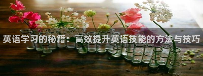 vsport体育官网下载注册：英语学习的秘籍：高效提