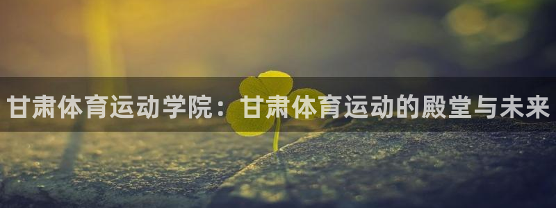 vsport体育官网下载招商电话号码查询是多少