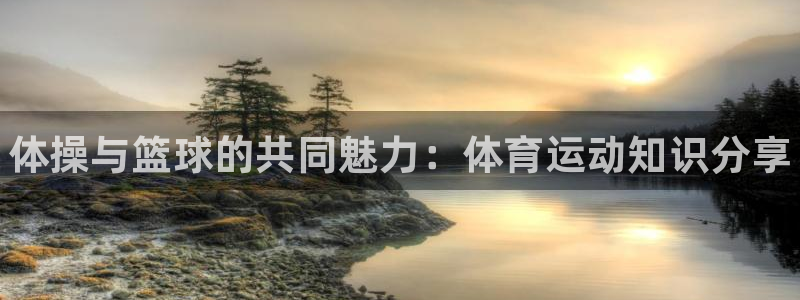 vsport体育官网下载招商电话号码是多少啊：体操与