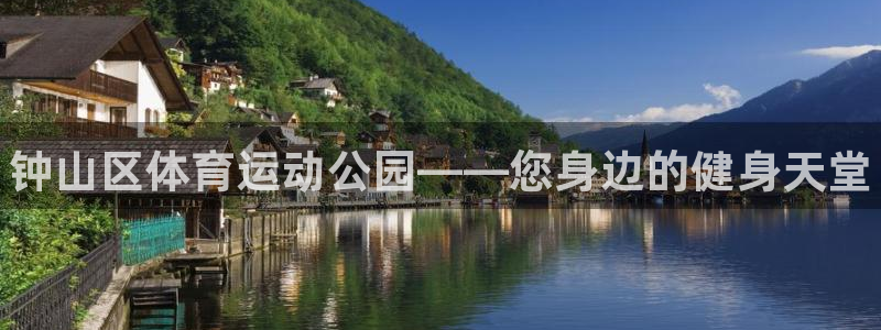 vsport体育官方正版app官方：钟山区体育运动公