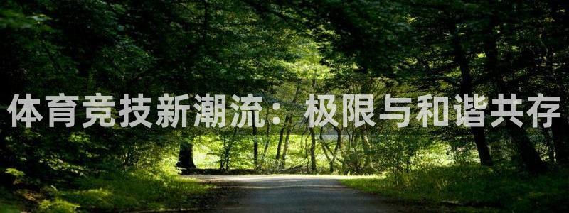 vsport体育官方平台体育：体育竞技新潮流：极限与