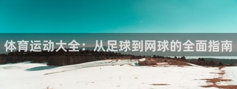 vsport体育官网下载平台是正规平台吗安全吗