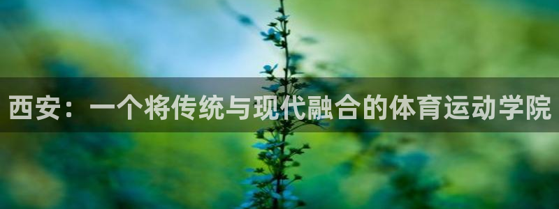 vsport体育官网下载招商电话号码查询：西安：一个
