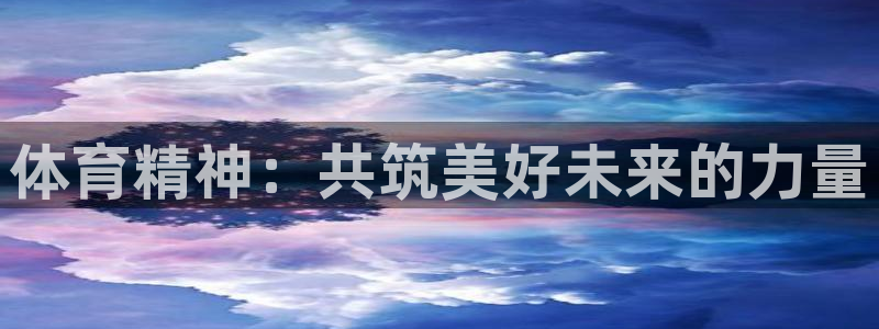 vsport体育官方正版app娱乐网站