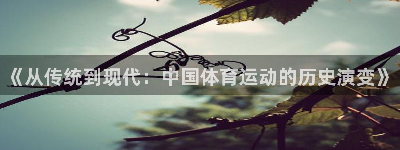 vsport体育官网下载官方客服电话：《从传统到现代