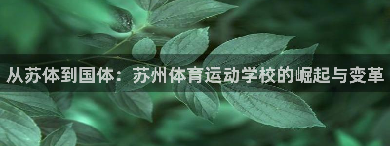 vsport体育官方正版app娱乐首页网站大全：从苏体到国体