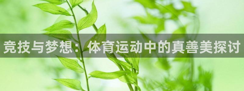 vsport体育官网下载联系电话：竞技与梦想：体育运