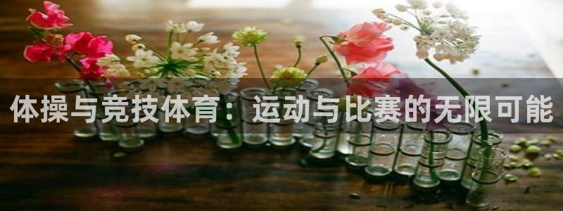 vsport体育官方正版app娱乐首页官网下载