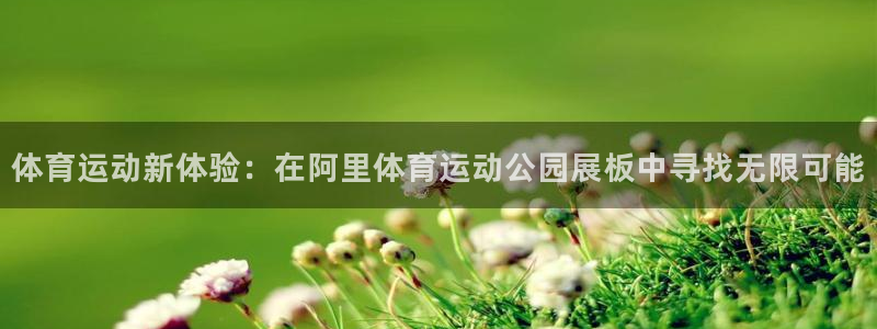 vsport体育官网下载招商电话号码查询是多少