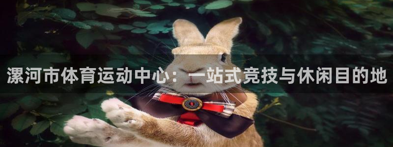 vsport体育官方集团官网：漯河市体育运动中心：一站式竞技