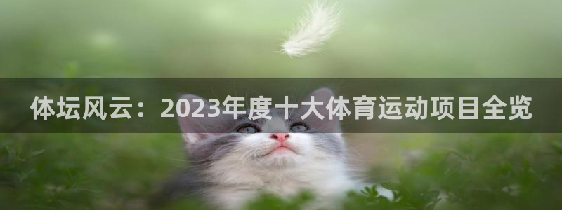 vsport体育官网下载招商：体坛风云：2023年度十大体育