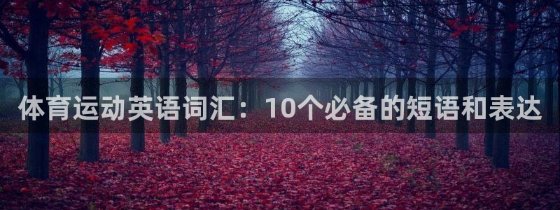 vsport体育官方正版app集团logo：体育运动英语词汇