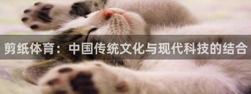 vsport体育官方正版app集团logo