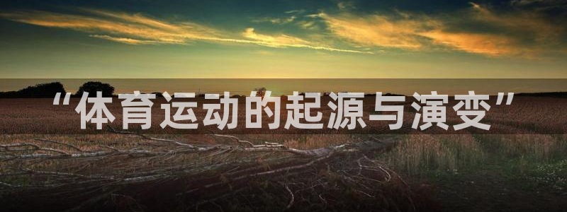 vsport体育官方正版app官方