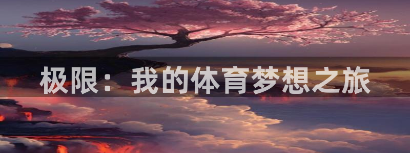 vsport体育官方正版app娱乐下载