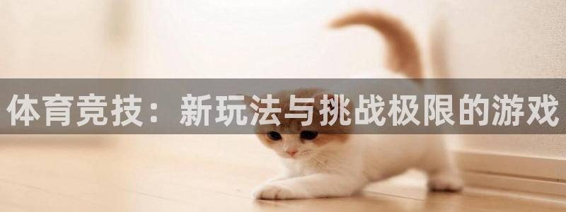 vsport体育官方正版app代理