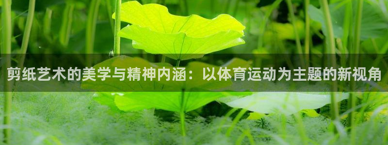 vsport体育官方正版app集团官网首页：剪纸艺术