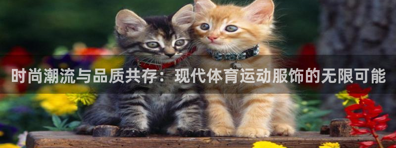 vsport体育官网下载招商电话地址查询：时尚潮流与品质共存