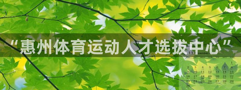vsport体育官方正版app娱乐：“惠州体育运动人才选拔中