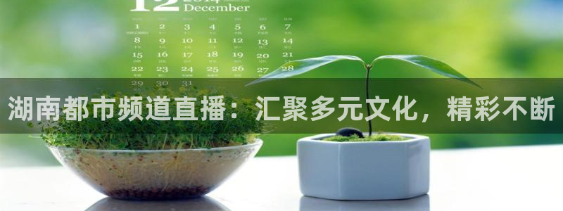 柠檬直播 足球：湖南都市频道直播：汇聚多元文化，精彩不断