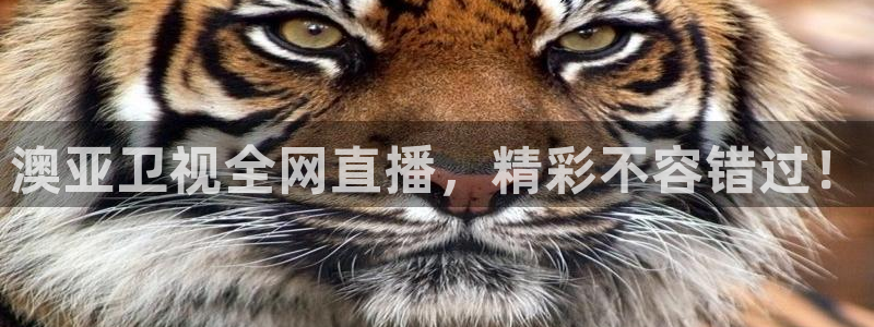 柠檬体育直播高清：澳亚卫视全网直播，精彩不容错过！
